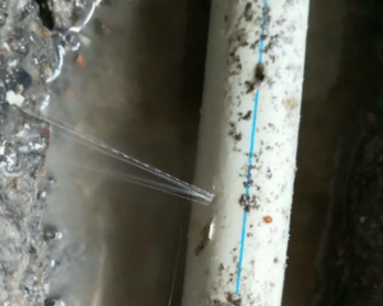 永年卫生间测漏水多少钱