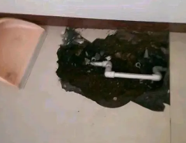 永年卫生间测漏水多少钱